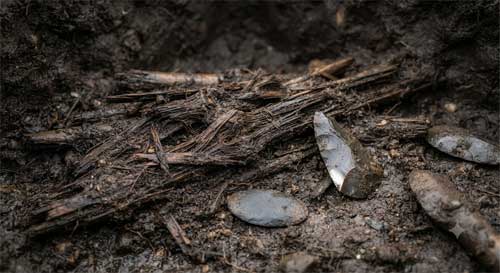 Restos arqueológicos de bambú antiguo o herramientas de bambú preservadas en lodo anaeróbico