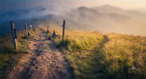 [DESCRIBIR IMAGEN: Ej. Dos senderos divergentes en paisaje montañoso difuminado, uno transitado con huellas visibles, otro intacto cubierto de hierba alta, luz crepuscular dorada]