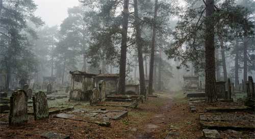 Paisaje sereno de un cementerio antiguo cubierto de niebla matutina, lápidas de piedra desgastadas por el tiempo, pinos altos perdiendo agujas, atmósfera melancólica pero pacífica, luz difusa grisácea