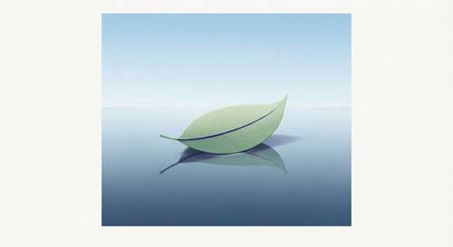 Ilustración simbólica de una hoja flotando suavemente sobre la superficie tranquila de un lago, reflejando el cielo, representando la claridad mental y la aceptación serena