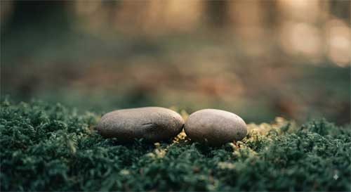 Dos piedras lisas sobre musgo tocándose suavemente simbolizando intimidad consciente sin posesión
