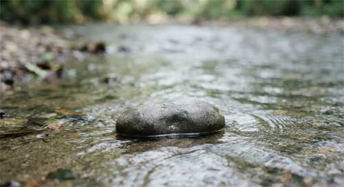 Piedra lisa en agua corriente simbolizando paciencia activa como presencia estable ante la turbulencia