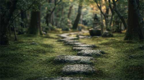 Sendero de jardín japonés cubierto de musgo verde intenso con piedras desgastadas por el tiempo, luz difusa filtrándose entre árboles, atmósfera de serenidad ancestral
