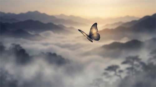 Silueta etérea de mariposa volando sobre paisaje montañoso brumoso al amanecer, luz dorada suave difuminando límites entre ser y entorno, atmósfera de libertad onírica