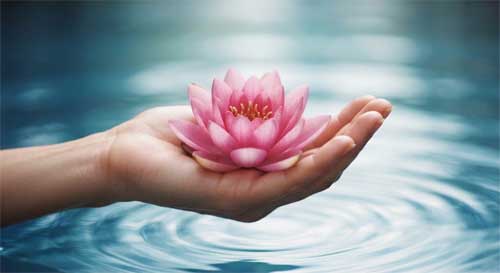 Mano sosteniendo suavemente una flor de loto brillante, con un fondo de ondas de agua tranquilas, simbolizando la cuidado consciente y la pureza ética