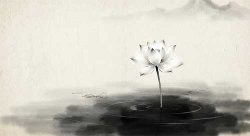 Representación minimalista de una flor de loto emergiendo de aguas tranquilas