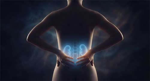 Silueta humana con zona lumbar y riñones resaltados en luz azul suave, manos abrazando la espalda baja en gesto de autocuidado, fondo oscuro y tranquilo