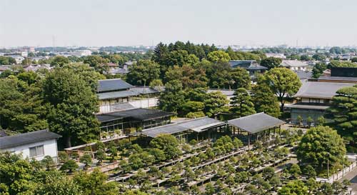 Vista aérea o panorámica de Omiya Bonsai Art Village con varios viveros tradicionales y el museo
