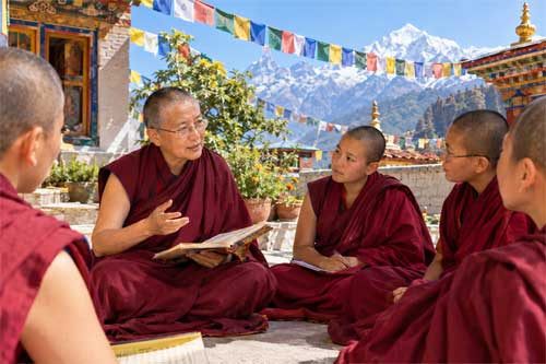 Monjas tibetanas con túnicas granate estudiando textos antiguos en un patio soleado del Dolma Ling Nunnery, con montañas al fondo