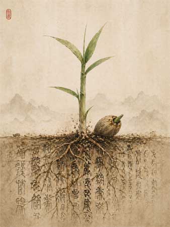 Bamboo shoot emerging from the earth with deep roots
